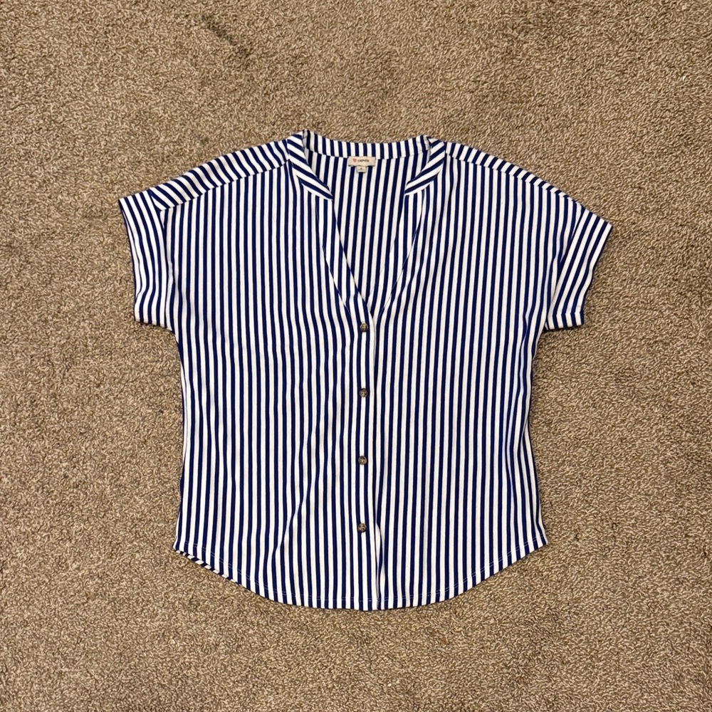 Daniel Cremieux Navy and White Striped Shirt